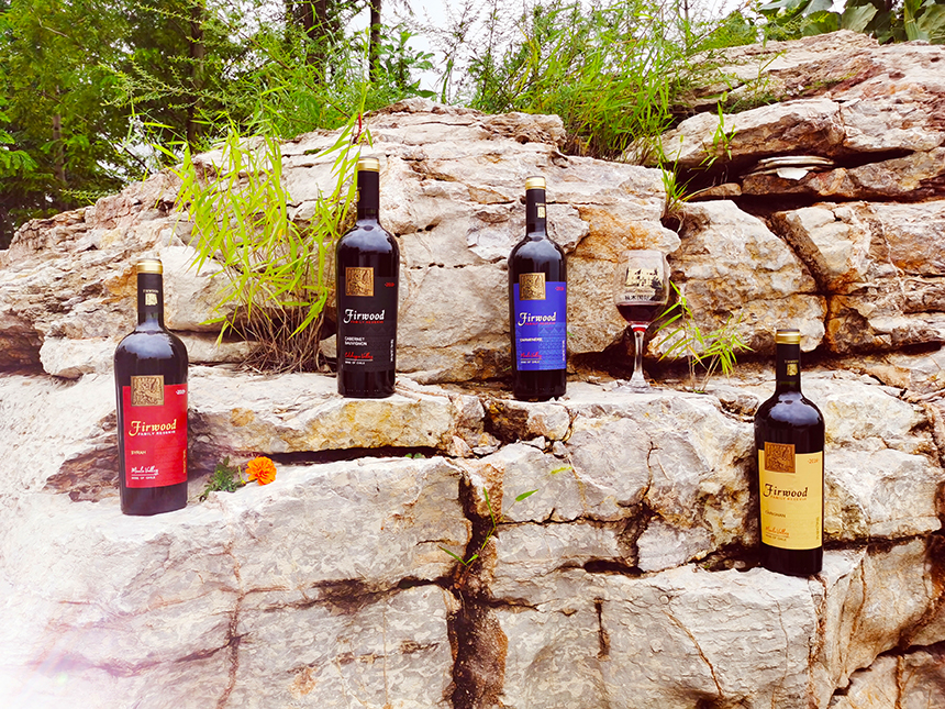 樅木大雪節氣志 | 愿所有溫暖如期而至 樅木大雪節氣志 | 愿所有溫暖如期而至