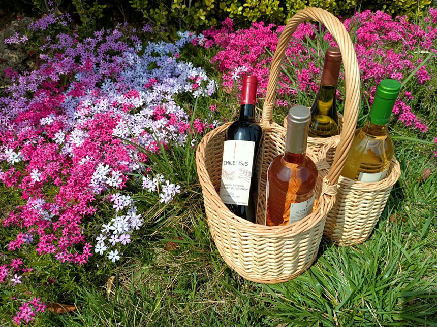 樅木冬至節(jié)氣志 | 愿歲月幸福安暖 樅木冬至節(jié)氣志 | 愿歲月幸福安暖