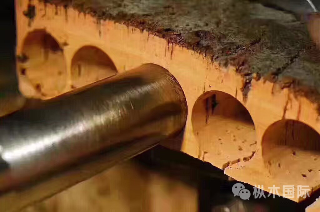 橡木塞到底好在哪里? 橡木塞到底好在哪里?