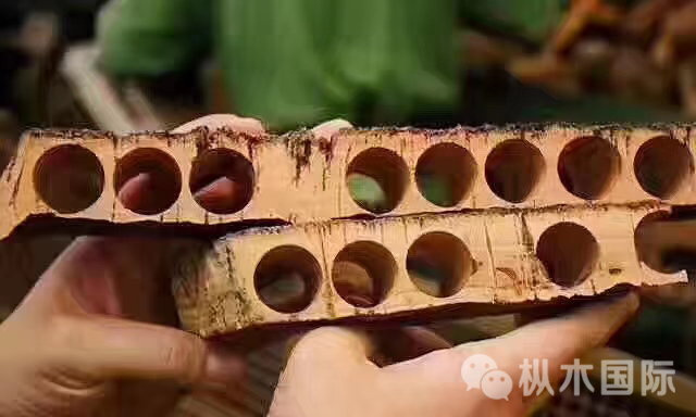 橡木塞到底好在哪里? 橡木塞到底好在哪里?