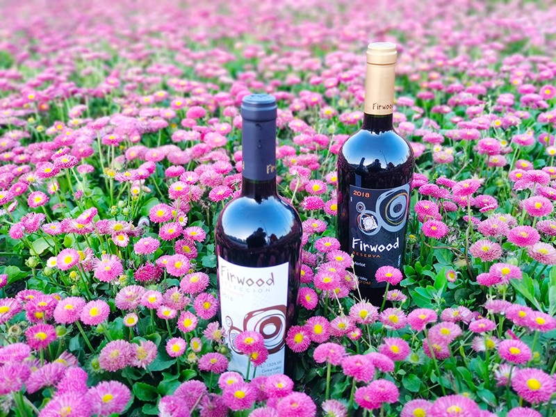 棗莊葡萄酒加盟|酒精度對紅酒的影響 棗莊葡萄酒加盟|酒精度對紅酒的影響