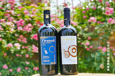 濟南葡萄酒加盟|葡萄酒的分類你知道嗎? 濟南葡萄酒加盟|葡萄酒的分類你知道嗎?