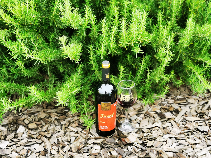 《樅木國際酒莊 | 葡萄為什么比其他水果更適合釀酒》 《樅木國際酒莊 | 葡萄為什么比其他水果更適合釀酒》