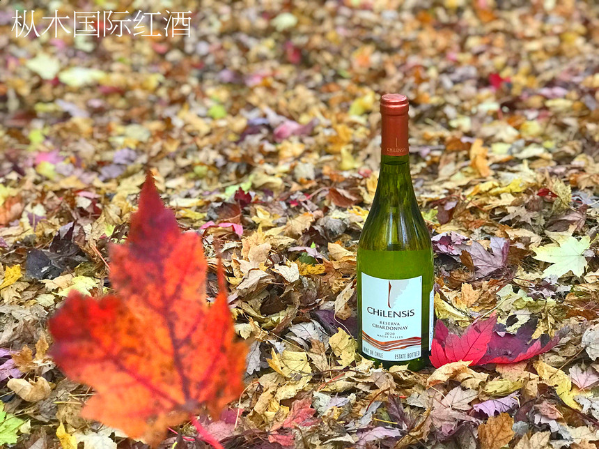 菏澤進口紅酒代理 | 14.5度的紅酒是好酒嗎 菏澤進口紅酒代理 | 14.5度的紅酒是好酒嗎