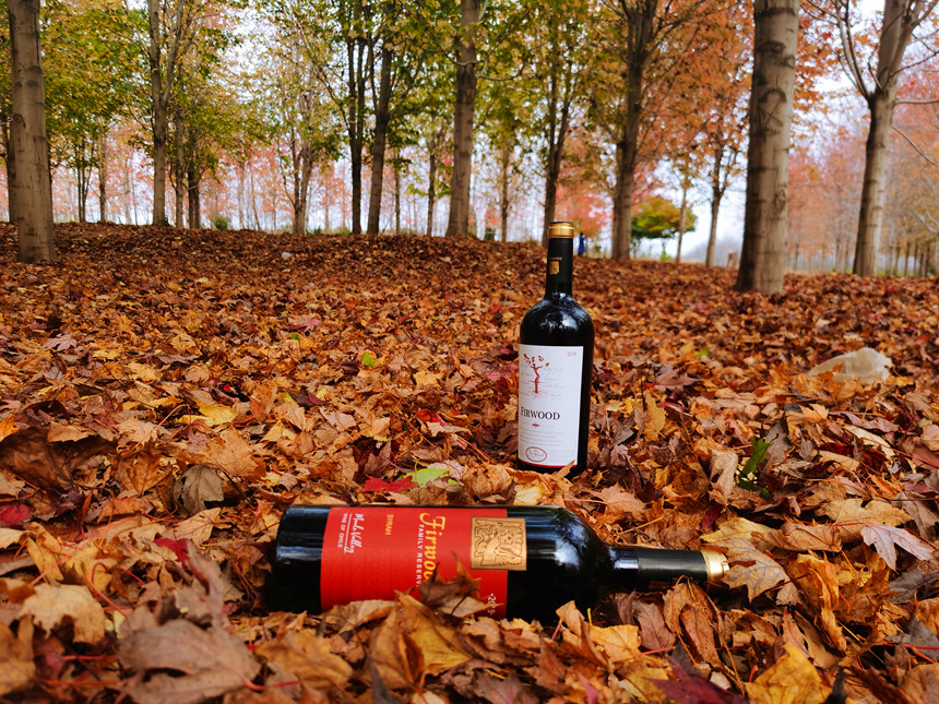 菏澤進口紅酒代理 | 14.5度的紅酒是好酒嗎 菏澤進口紅酒代理 | 14.5度的紅酒是好酒嗎