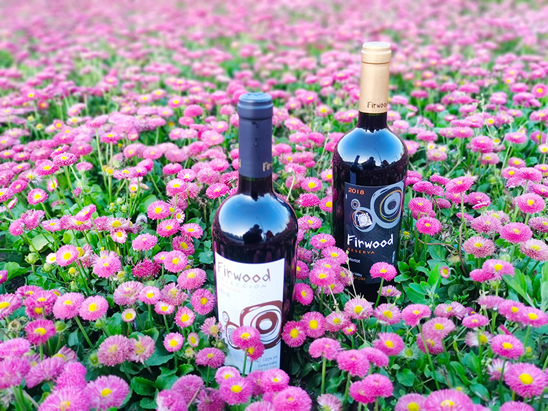 江蘇葡萄酒代理 | 葡萄酒加盟生意入手指南 江蘇葡萄酒代理 | 葡萄酒加盟生意入手指南