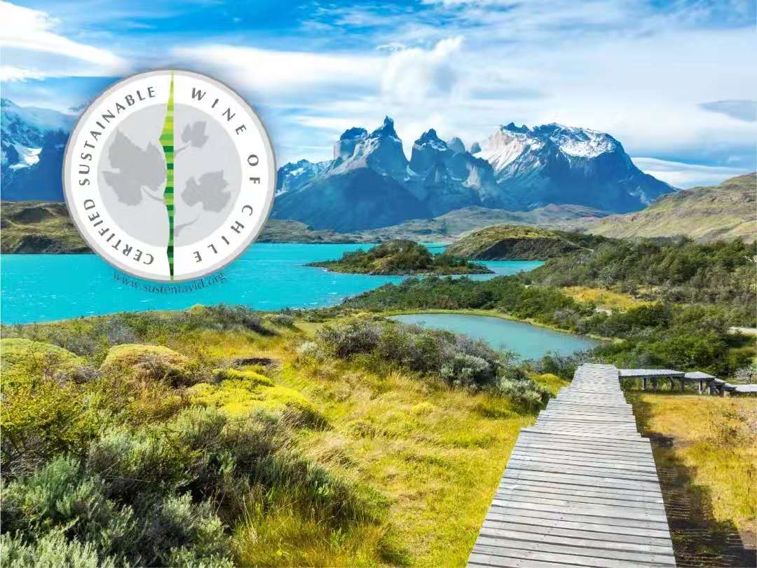 據(jù)統(tǒng)計(jì)智利葡萄酒出口量劇增 據(jù)統(tǒng)計(jì)智利葡萄酒出口量劇增