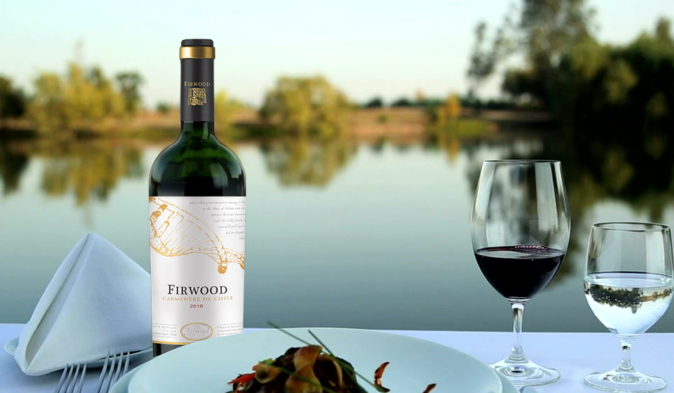 葡萄酒加盟之滋味相近的調配 葡萄酒加盟之滋味相近的調配