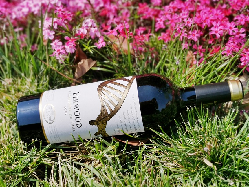 葡萄酒加盟有哪些要素會(huì)影響葡萄酒陳年 葡萄酒加盟有哪些要素會(huì)影響葡萄酒陳年