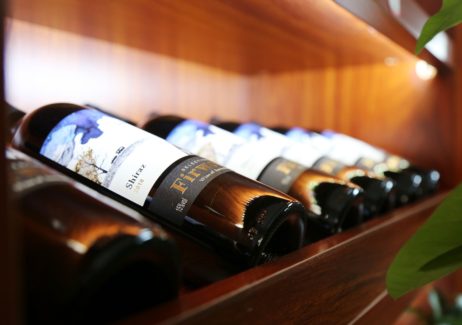 葡萄酒加盟:葡萄酒保存環境應該滿足五個條件 葡萄酒加盟:葡萄酒保存環境應該滿足五個條件