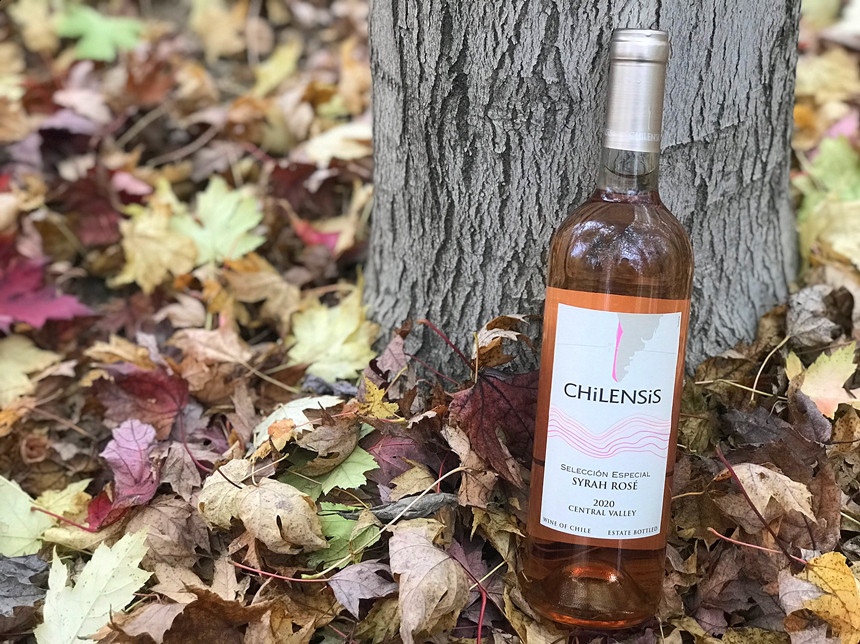 樅木紅酒小課堂 | 如何辨別葡萄酒的好與壞 樅木紅酒小課堂 | 如何辨別葡萄酒的好與壞