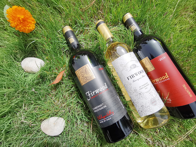 樅木紅酒小課堂丨怎樣觀察葡萄酒的酒標 樅木紅酒小課堂丨怎樣觀察葡萄酒的酒標